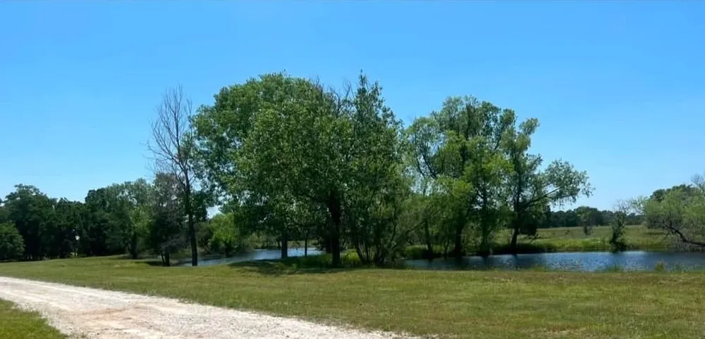 Top-rated yard cleanup service in Springtown, TX - SK Farms Land Management