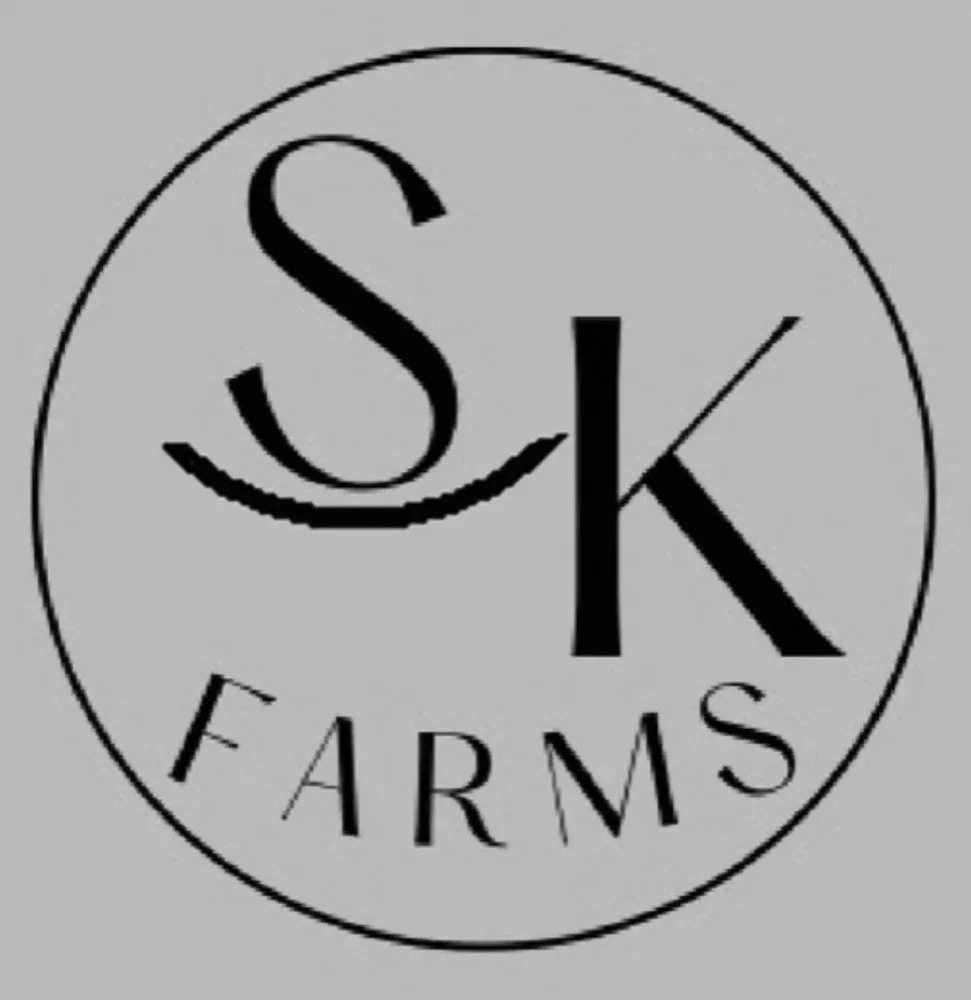 Top-rated yard cleanup service for beautiful yards across Springtown, TX - SK Farms Land Management