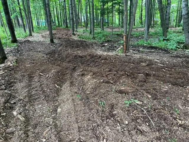 Professional outdoor landscaping for homes across Tony, WI - S&K Land Management