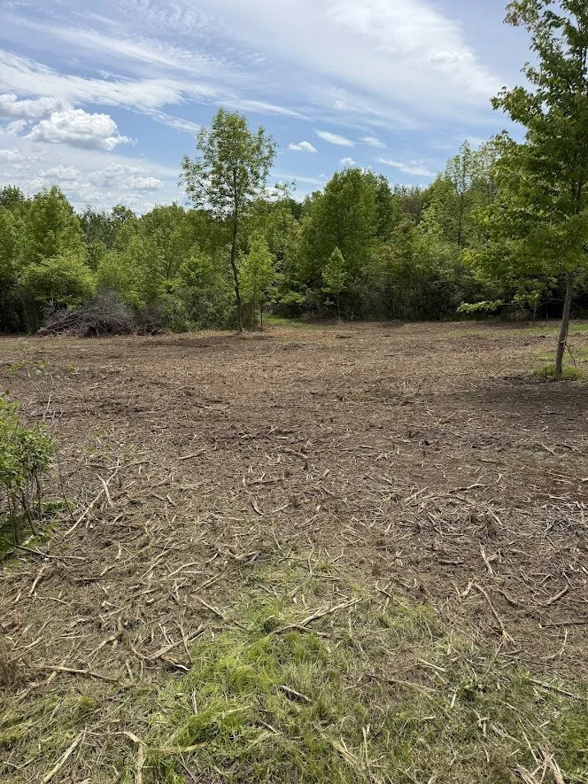 Trusted landscaping services for homes across Tony, WI - S&K Land Management