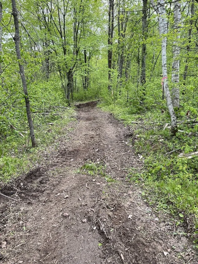 Top-rated landscaping services experts serving Tony, WI - S&K Land Management