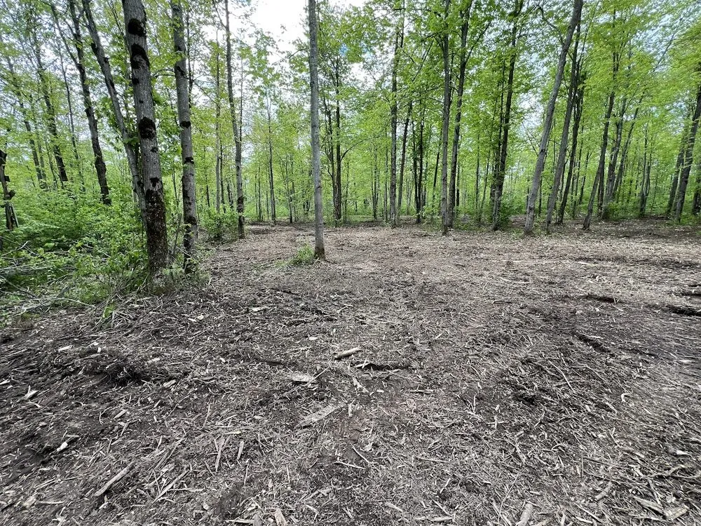 Expert yard cleanup service in Tony, WI by S&K Land Management