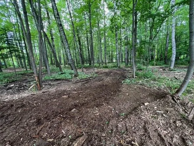 Reliable residential landscaping in Tony, WI by S&K Land Management