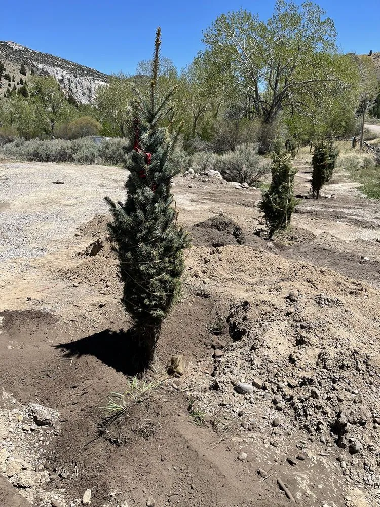 Expert yard maintenance with custom design in Butte, MT by SK Landscape Construction