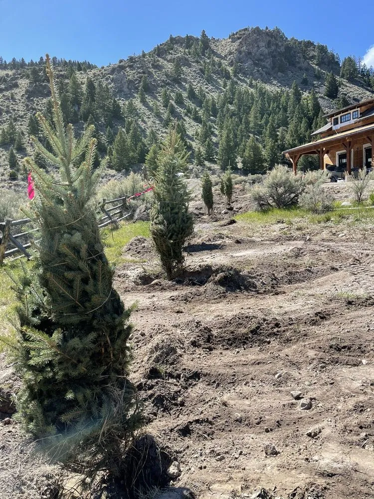 Local outdoor landscaping for outdoor upgrades across Butte, MT - SK Landscape Construction