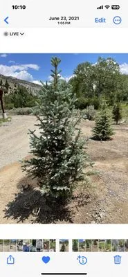 SK Landscape Construction