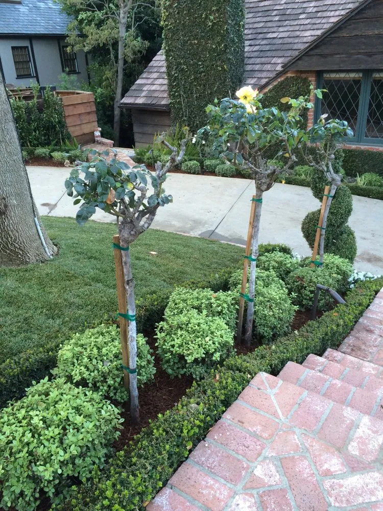 Top-rated outdoor landscaping in Northridge, CA by SK Landscape Design