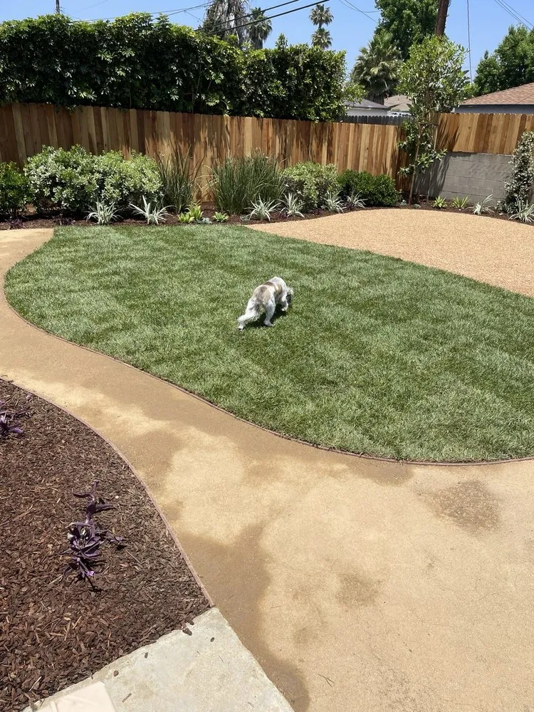 Local yard cleanup service in Northridge, CA by SK Landscape Design