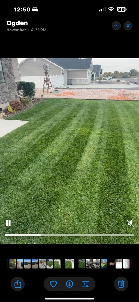 Expert lawn care service experts serving Knoxville, TN - SK Landscaping & Lawn Care