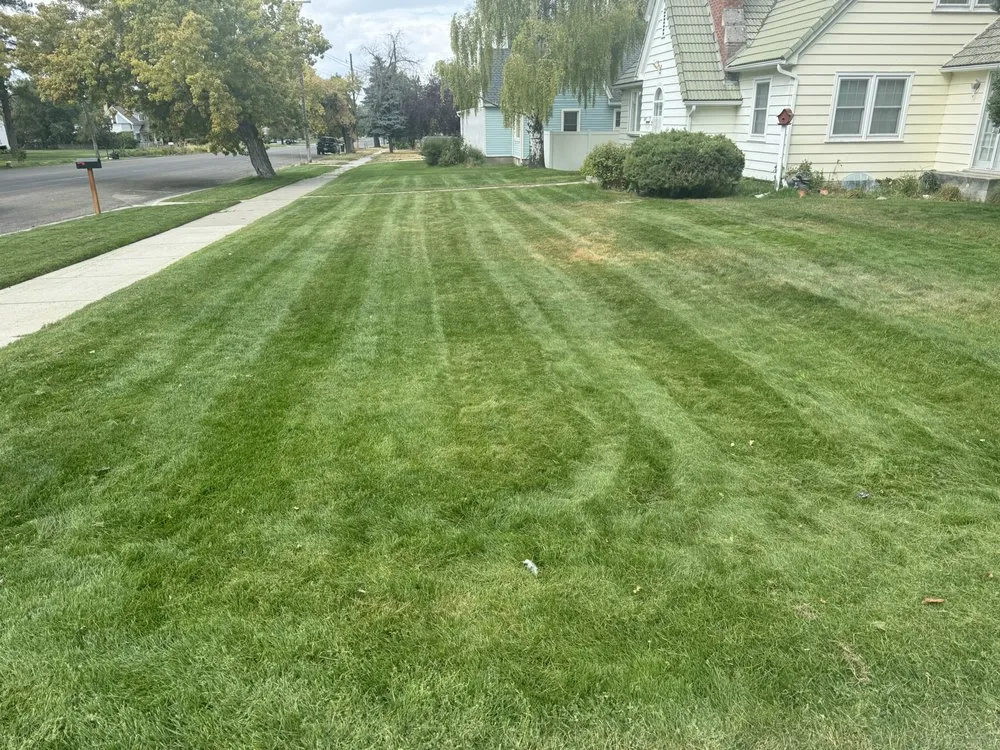 Professional garden landscaping for year-round maintenance across Knoxville, TN - SK Landscaping & Lawn Care