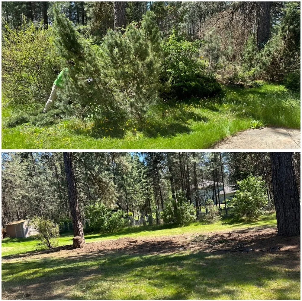 Trusted landscaping services experts serving Spokane, WA - SK Landscaping