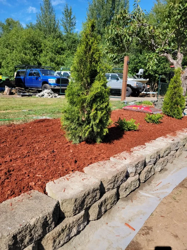 Top-rated yard maintenance in Port Orchard, WA - Sk Lawn And Fence