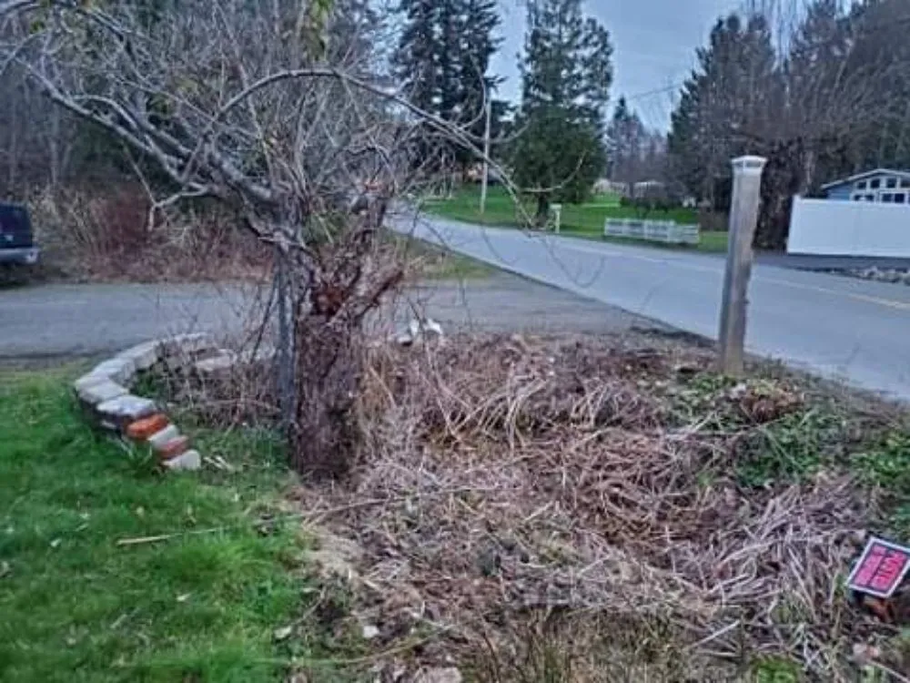 Local landscape installation near you in Port Orchard, WA by Sk Lawn And Fence