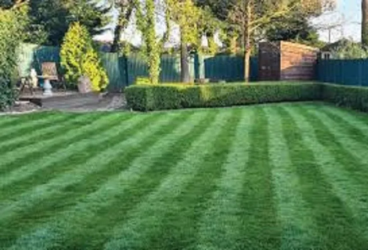 Reliable residential landscaping near you in Port Orchard, WA by Sk Lawn And Fence