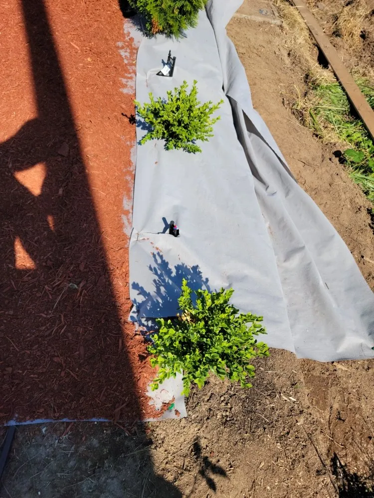 Reliable yard maintenance for homes in Port Orchard, WA by Sk Lawn And Fence