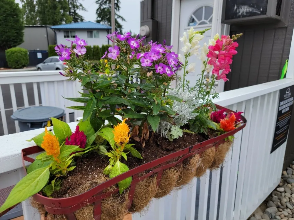 Local lawn care service experts serving Port Orchard, WA - Sk Lawn And Fence