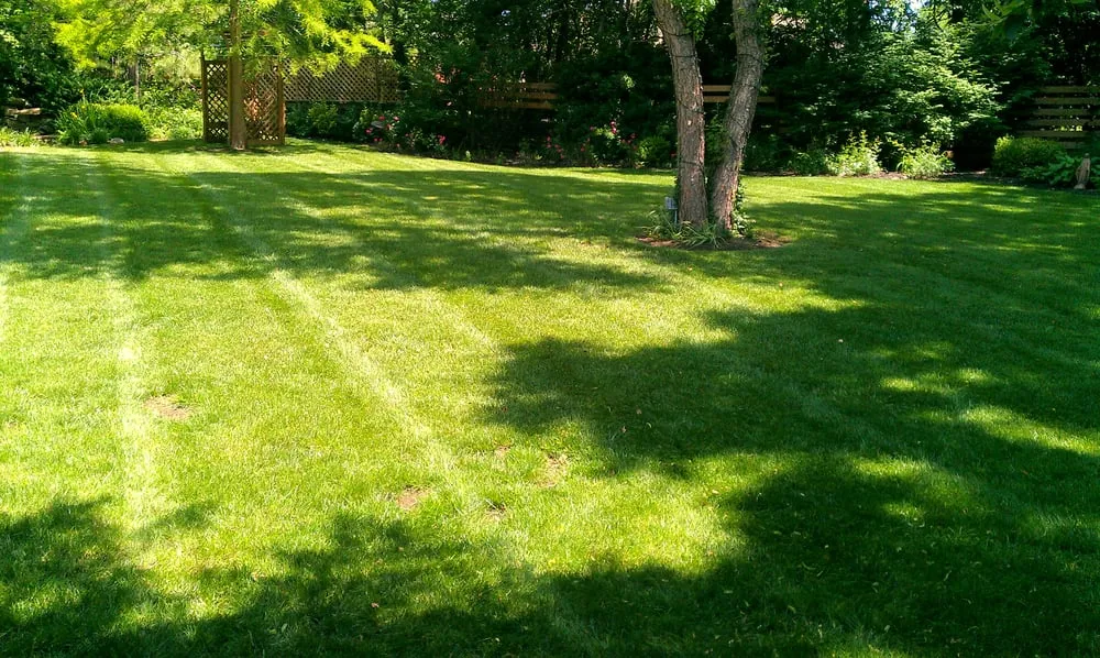 Trusted residential landscaping experts serving Kansas City, MO - SK Lawn Care