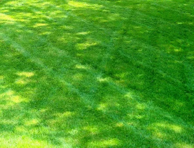 Local lawn mowing service for outdoor upgrades in Kansas City, MO by SK Lawn Care