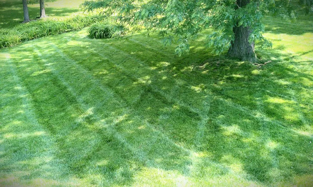 Professional residential landscaping near you in Kansas City, MO by SK Lawn Care