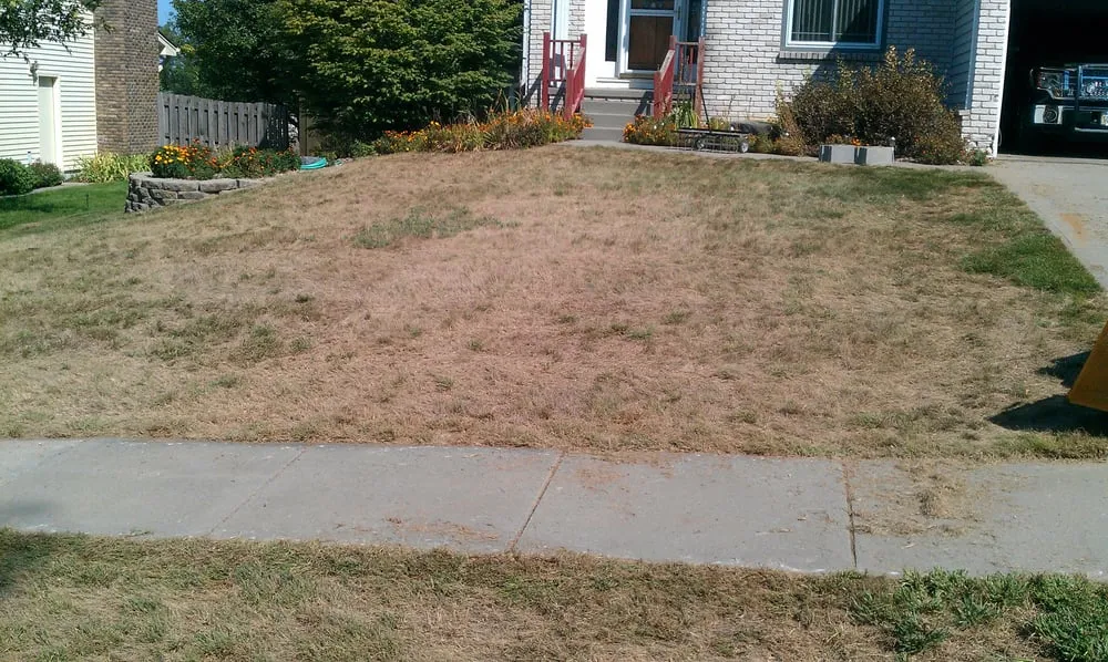 Reliable landscape design in Kansas City, MO - SK Lawn Care