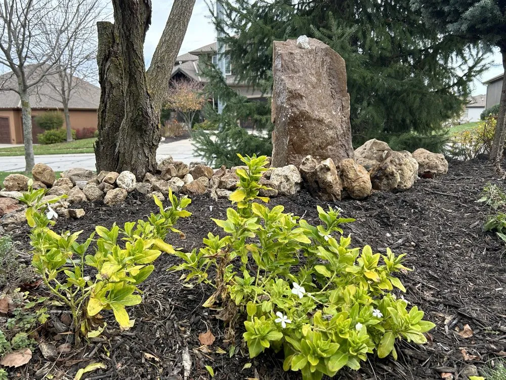 Affordable lawn care service in Kansas City, MO - SK Lawn Care