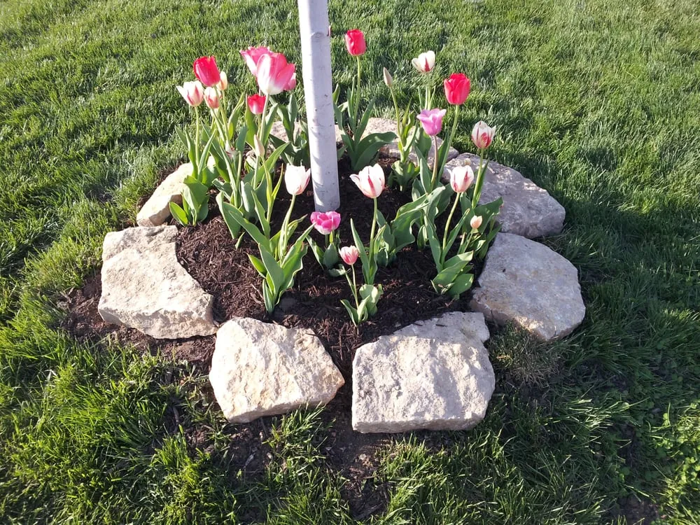 Custom outdoor landscaping in Kansas City, MO - SK Lawn Care