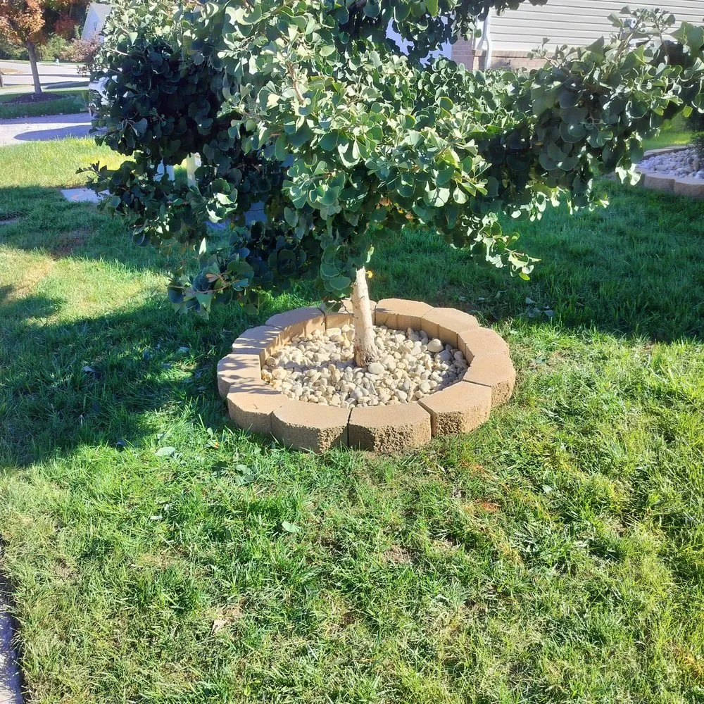 Affordable landscaping services experts serving Virginia Beach, VA - S&K LawnCare Landscaping