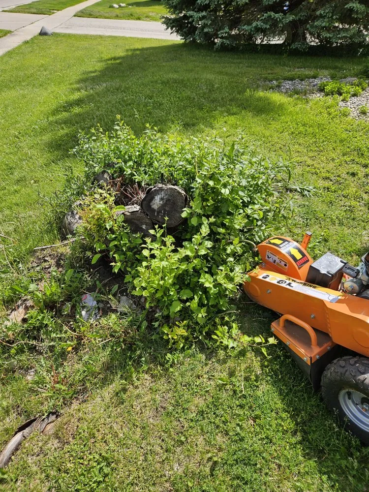 Local landscaping services experts serving Mayville, WI - SK Outdoor Services