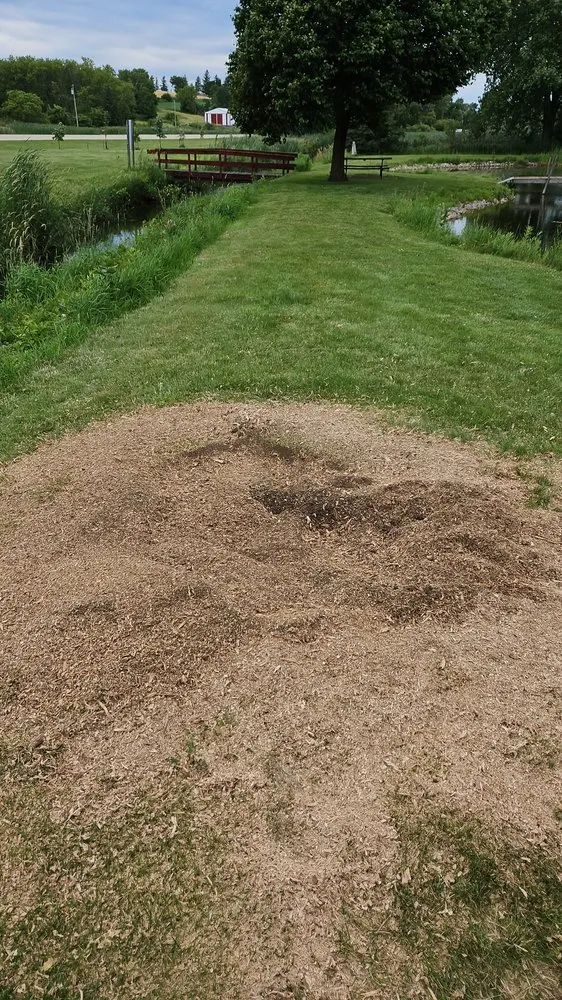 Local yard maintenance for beautiful yards across Mayville, WI - SK Outdoor Services