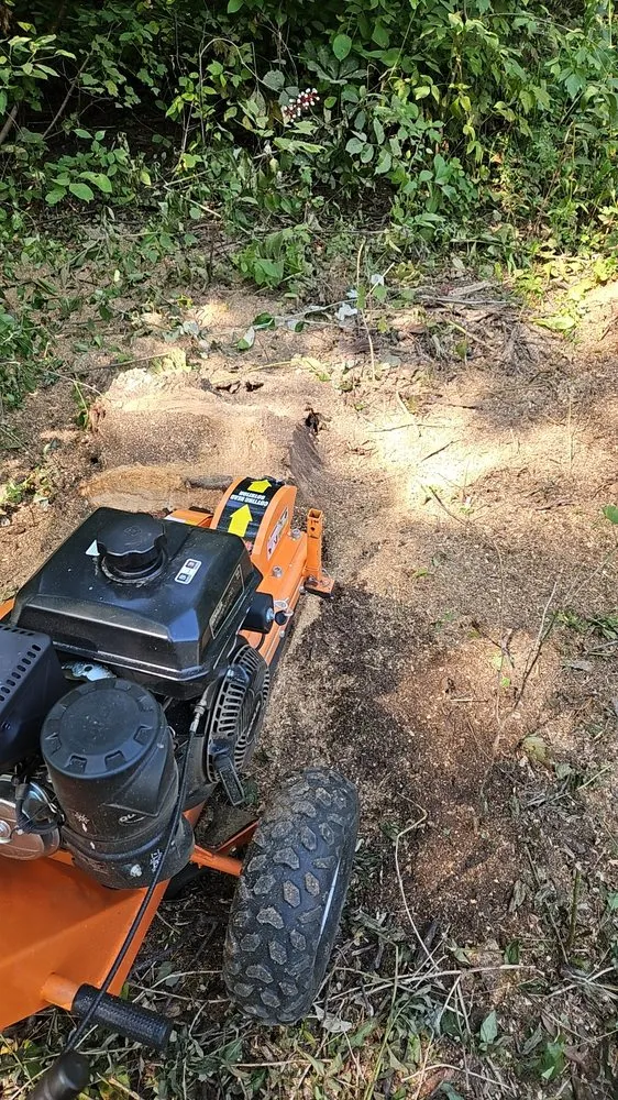 Affordable landscape installation in Mayville, WI - SK Outdoor Services