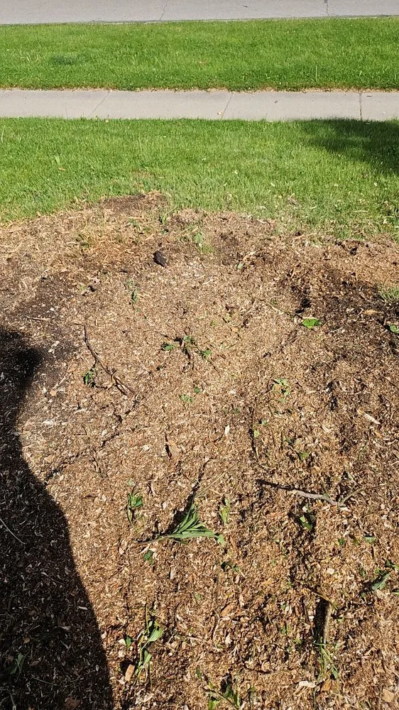 Affordable landscape installation near you in Mayville, WI by SK Outdoor Services