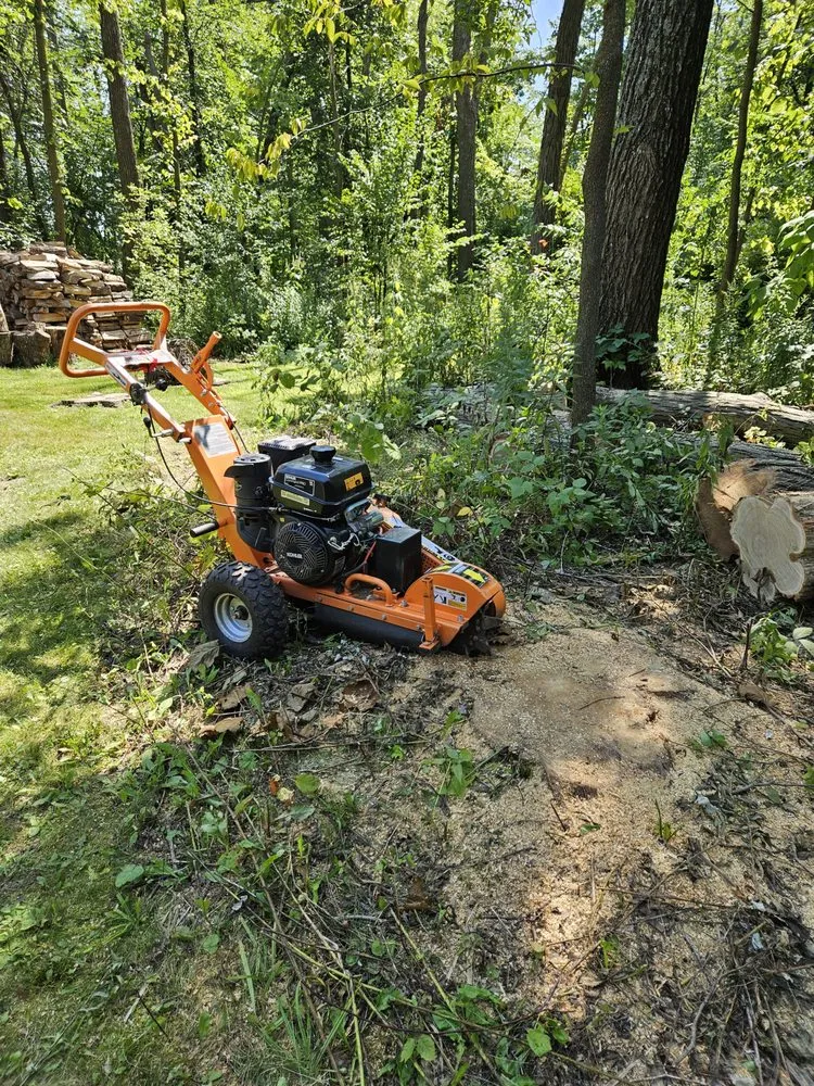 Trusted lawn care service for year-round maintenance in Mayville, WI by SK Outdoor Services