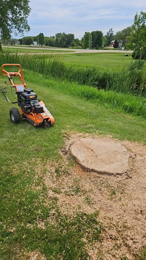 Trusted lawn care service for year-round maintenance in Mayville, WI by SK Outdoor Services