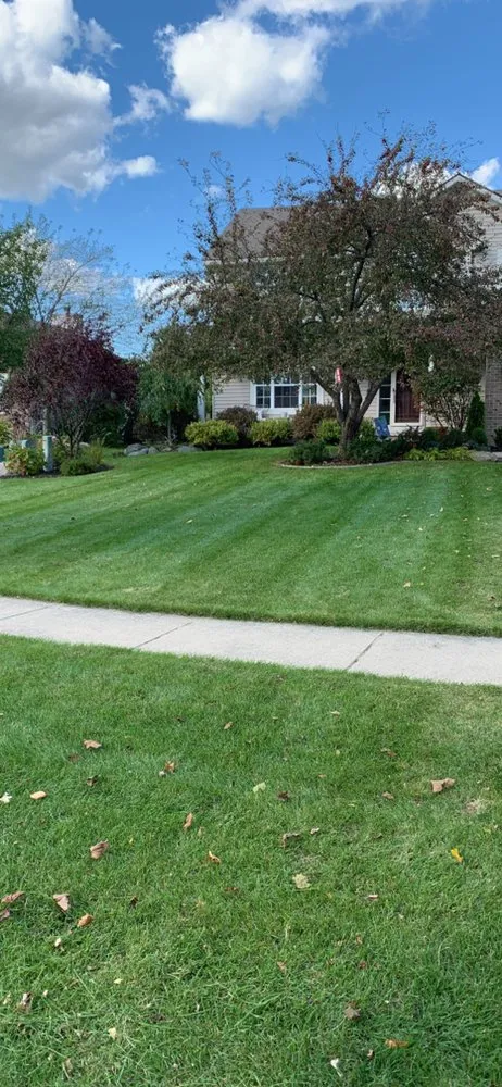 Custom yard cleanup service experts serving Whitmore Lake, MI - S&K Services