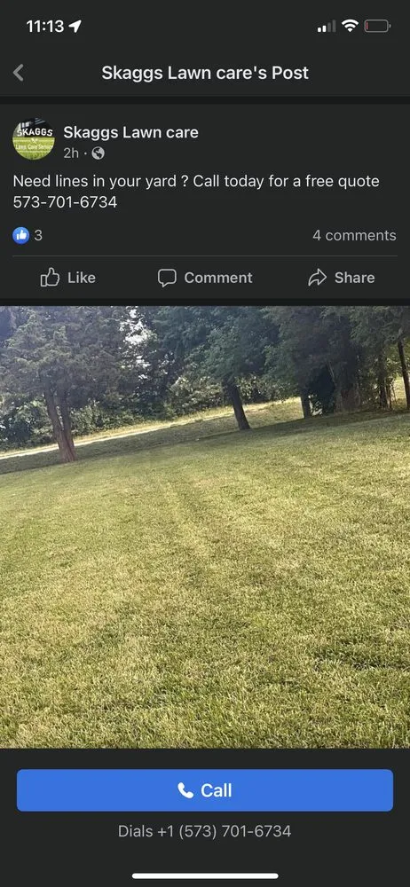 Local lawn care service experts serving Desloge, MO - Skaggs