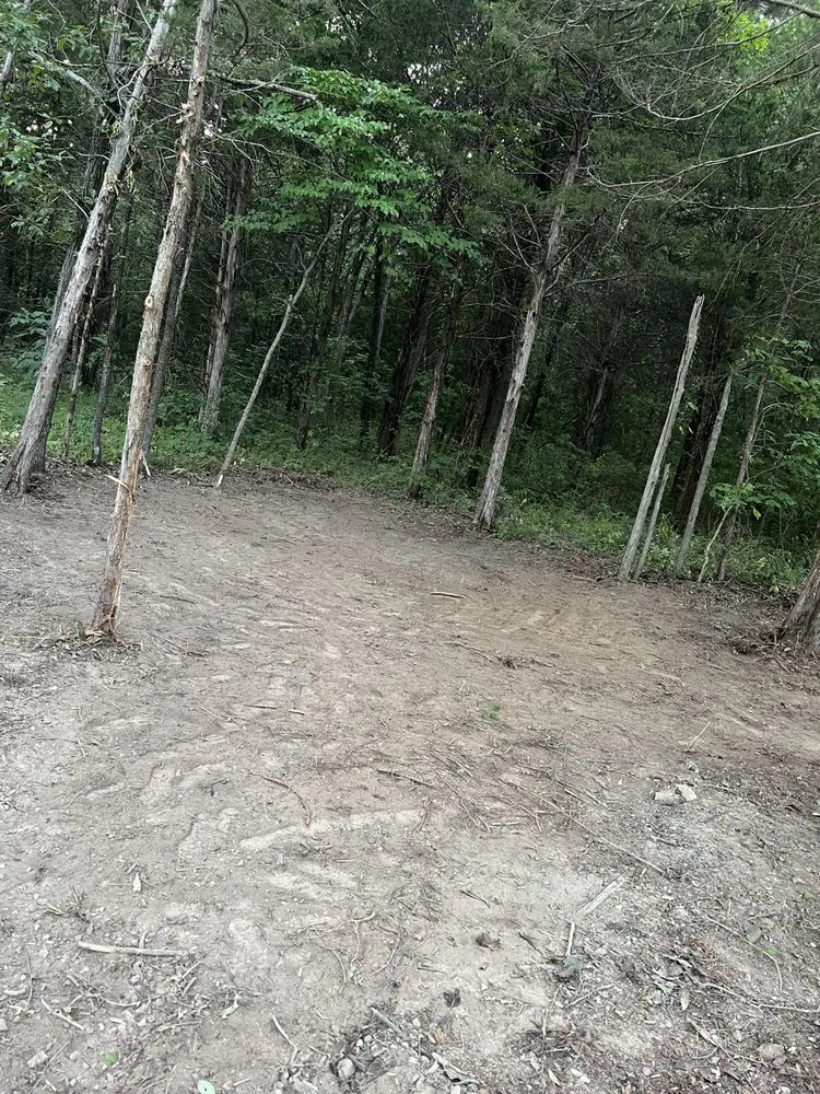 Affordable lawn care service in Desloge, MO by Skaggs