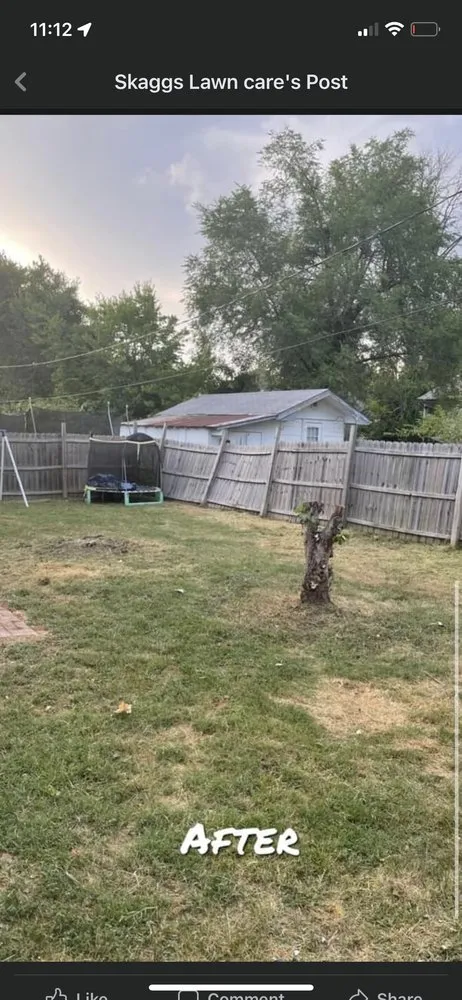 Local outdoor landscaping with custom design across Desloge, MO - Skaggs