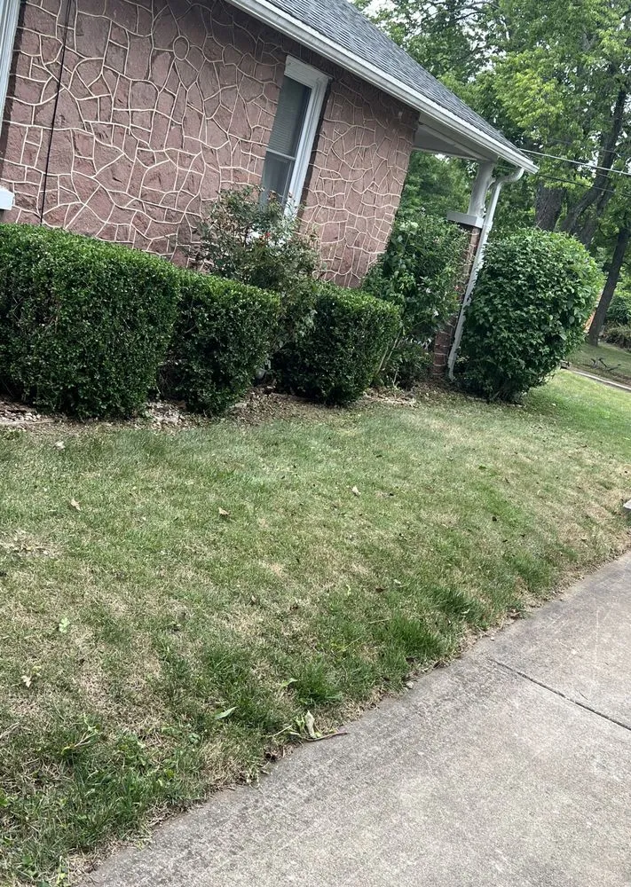 Top-rated garden landscaping experts serving Desloge, MO - Skaggs