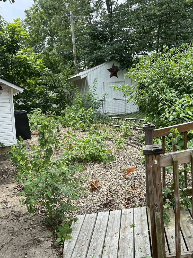 Expert yard maintenance experts serving Desloge, MO - Skaggs