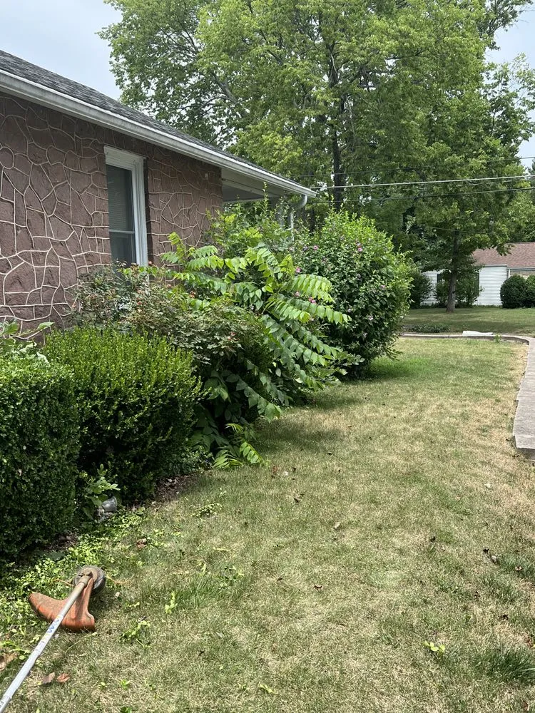 Affordable lawn mowing service experts serving Desloge, MO - Skaggs