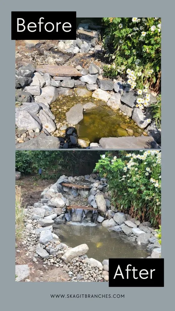 Affordable lawn mowing service near you across Mount Vernon, WA - Skagit Branches