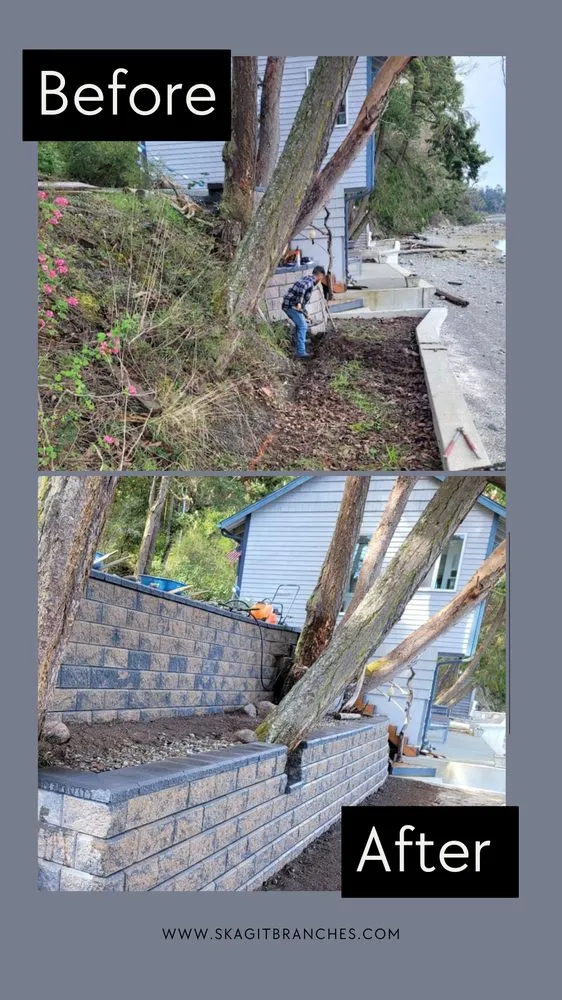 Top-rated residential landscaping in Mount Vernon, WA by Skagit Branches