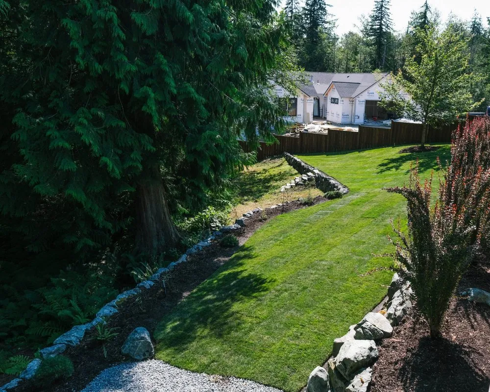 Affordable yard cleanup service in Mount Vernon, WA by Skagit Branches