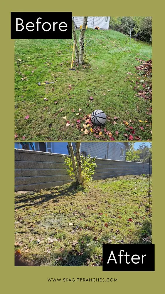 Reliable yard maintenance in Mount Vernon, WA - Skagit Branches