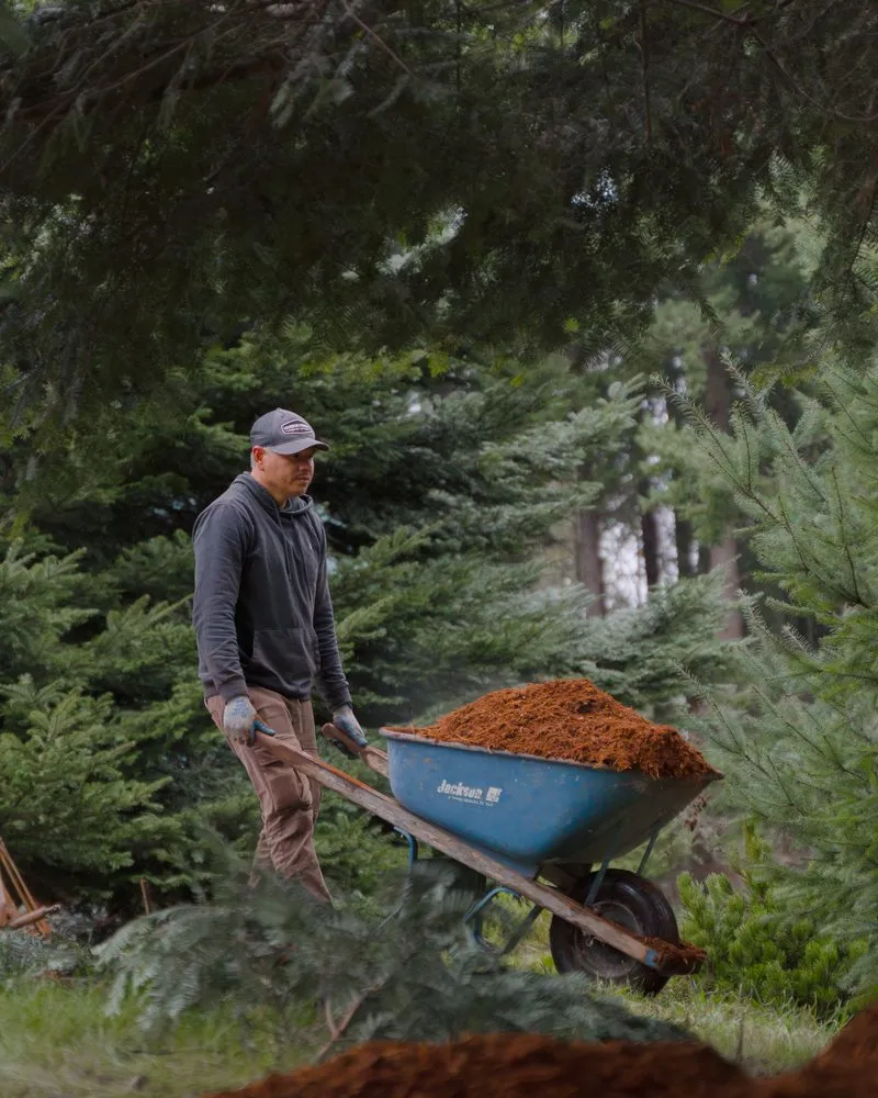 Local landscape installation experts serving Mount Vernon, WA - Skagit Branches