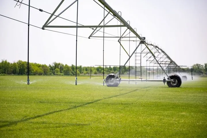 Trusted lawn care service experts serving Waterloo, WI - Skalitzky Sod Farms