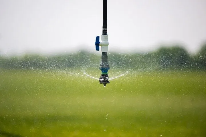 Affordable residential landscaping for homes in Waterloo, WI by Skalitzky Sod Farms