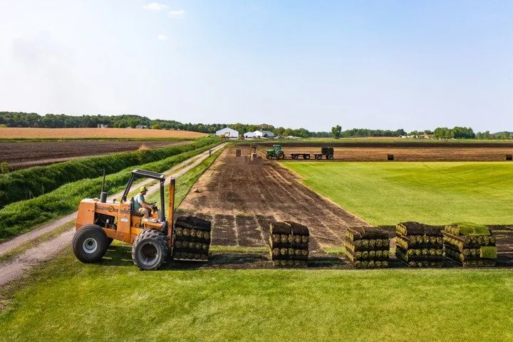Top-rated yard maintenance experts serving Waterloo, WI - Skalitzky Sod Farms