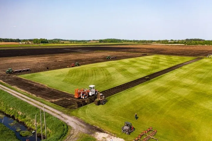 Top-rated lawn care service in Waterloo, WI - Skalitzky Sod Farms