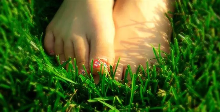 Professional landscape design experts serving Waterloo, WI - Skalitzky Sod Farms